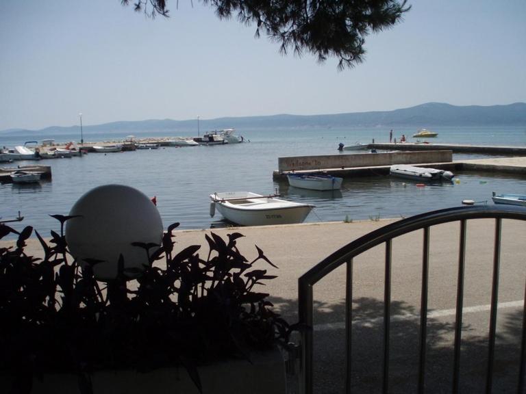 Seagull by the sea, Sukošan