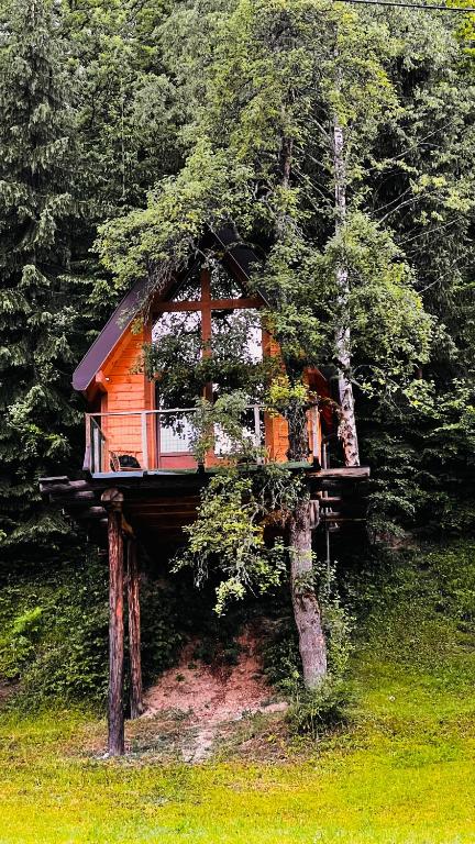 Tara Resort - Camp Rabrenovic — Hotel in Polja