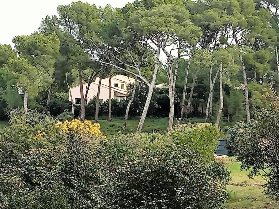 Villa Portissol tout à pied - 4