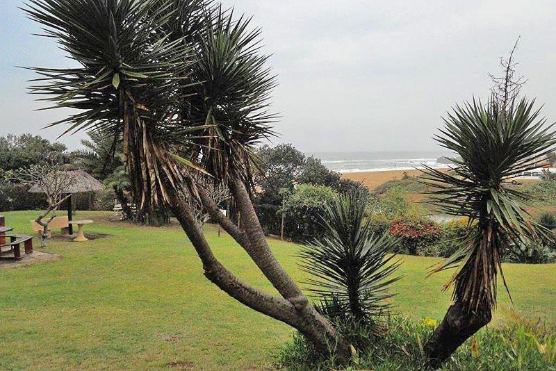 Ocean Breeze, Amanzimtoti