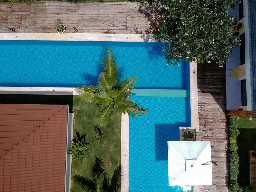 Amphitrite Resort photo