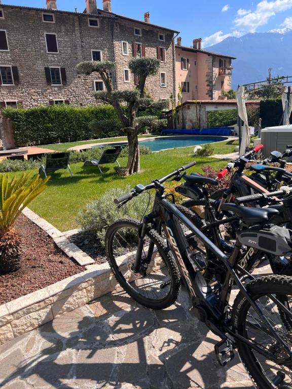 Hotel Canarino - 4