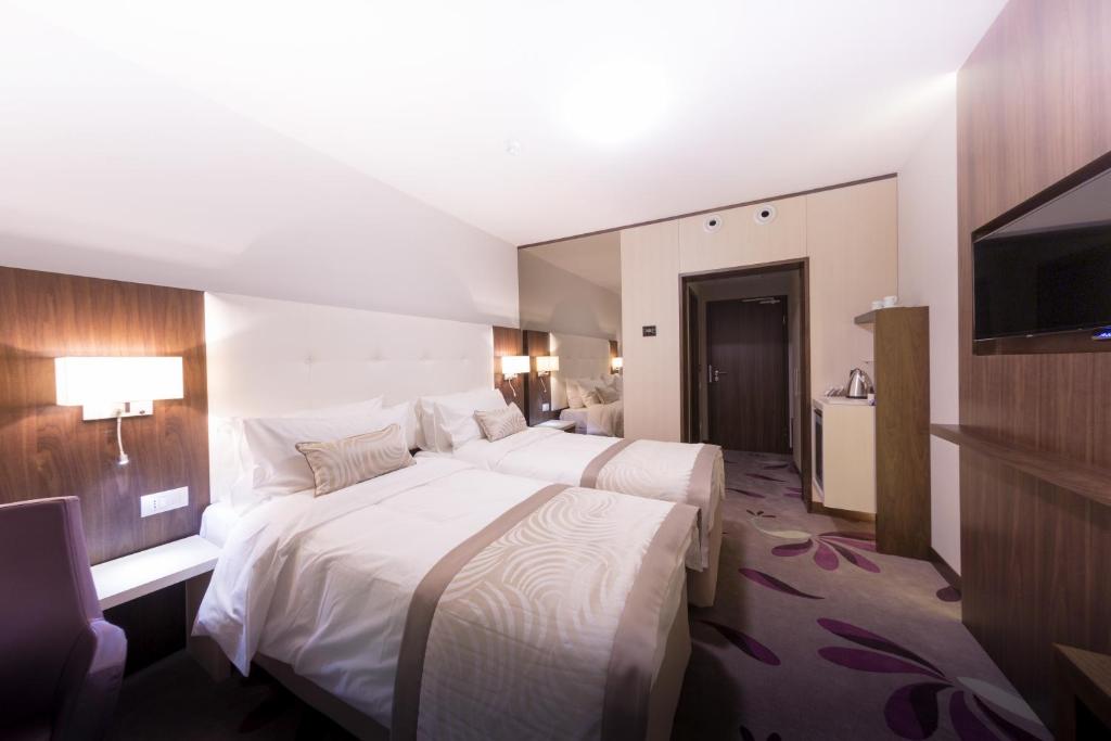 Hotel Transilvania photo
