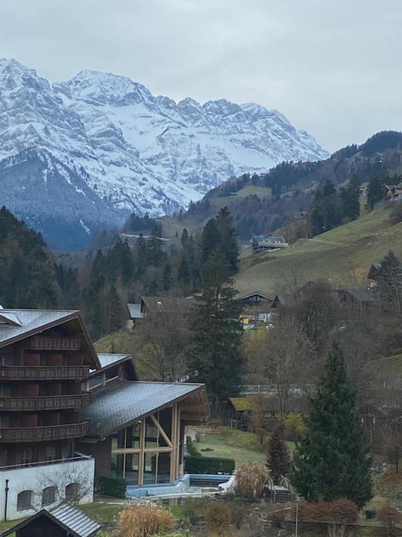 Val D’Illiez mountain apartment. - 4