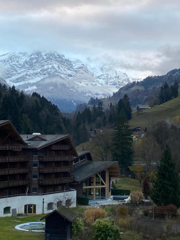 Val D’Illiez mountain apartment. - 5