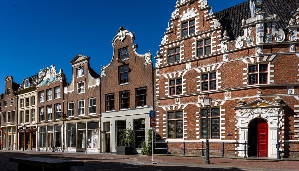 De Ginkgo in het hart van Hoorn