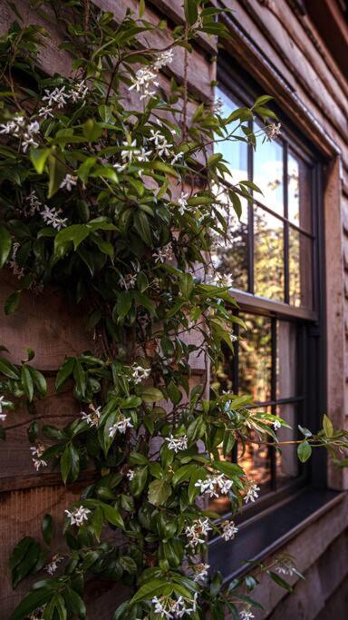 The Bristol Coach House photo 6