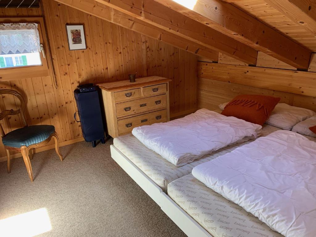 Grindelwald-Sunneblick - 4