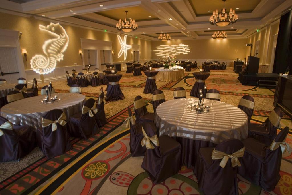 Sandpearl Resort Photo 38