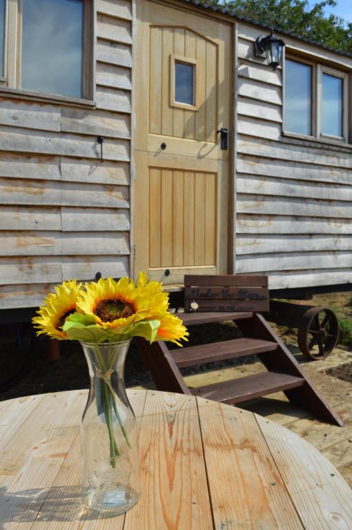 Under the Stars Shepherds Huts, Isle of Wight photo 7
