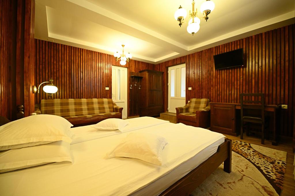 Pensiunea Sarmis photo