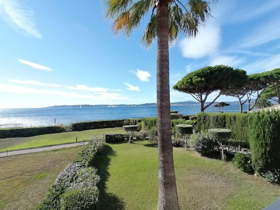 Etoile d'Azur - 2