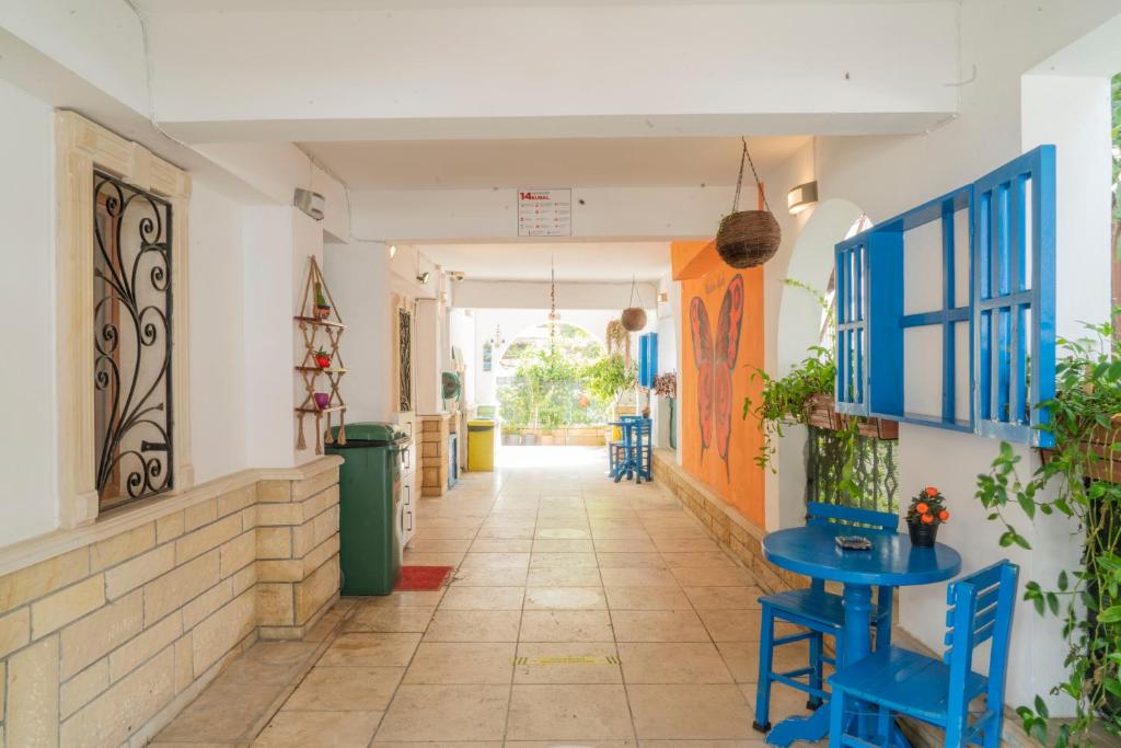 MANDALİN AKYAKA photo