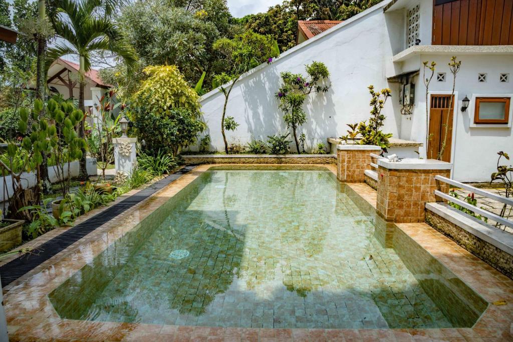 Swimming pool, Family Hotel Gradia 1 in Malang