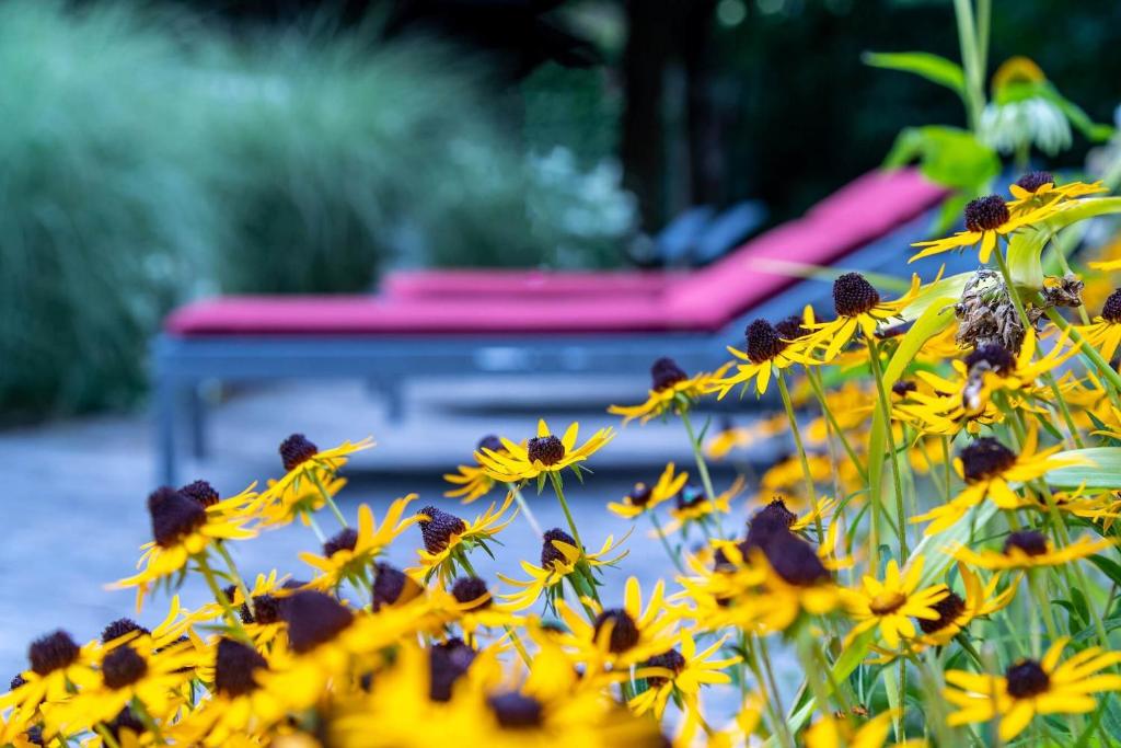 Jardin