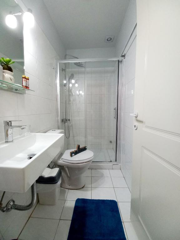 ML Saroko Apartment 2 — Hotel in Corfu Island