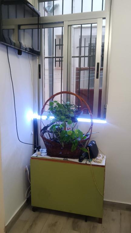 Apartamento Alicia - 4