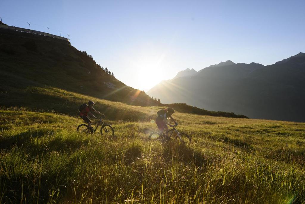 スポーツ/アクティビティ