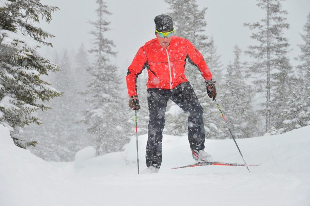 スポーツ/アクティビティ