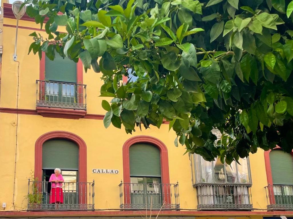 Eva Recommends Triana photo