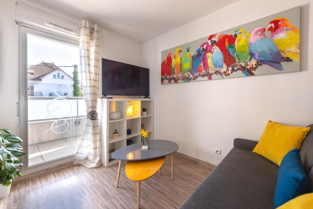 Studio Cosy les Perruches - 1