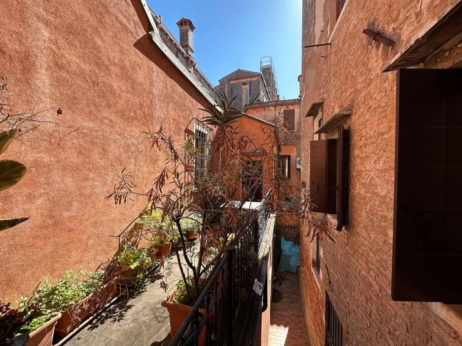 Terrace suite - 4