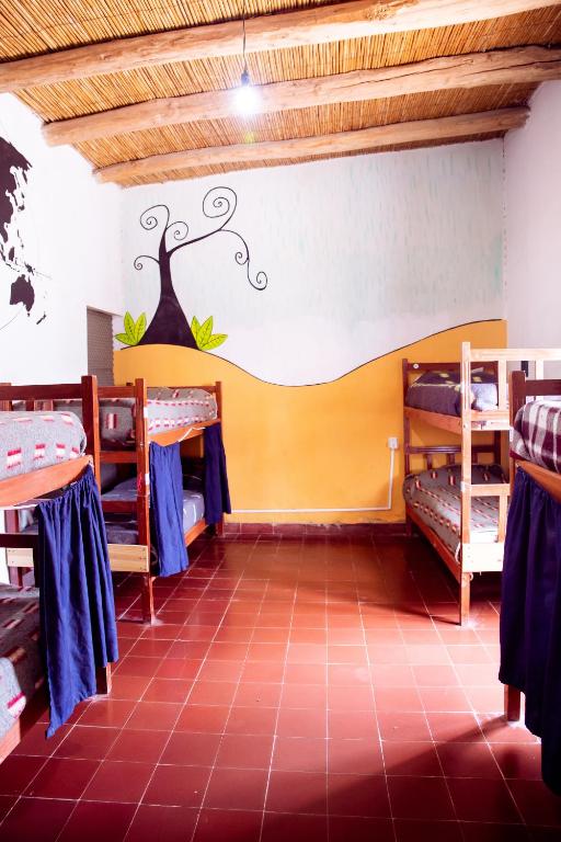 Apapacho Hostel photo