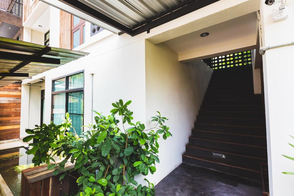 Surrounding environment, Gord Chiangmai in Chiang Mai