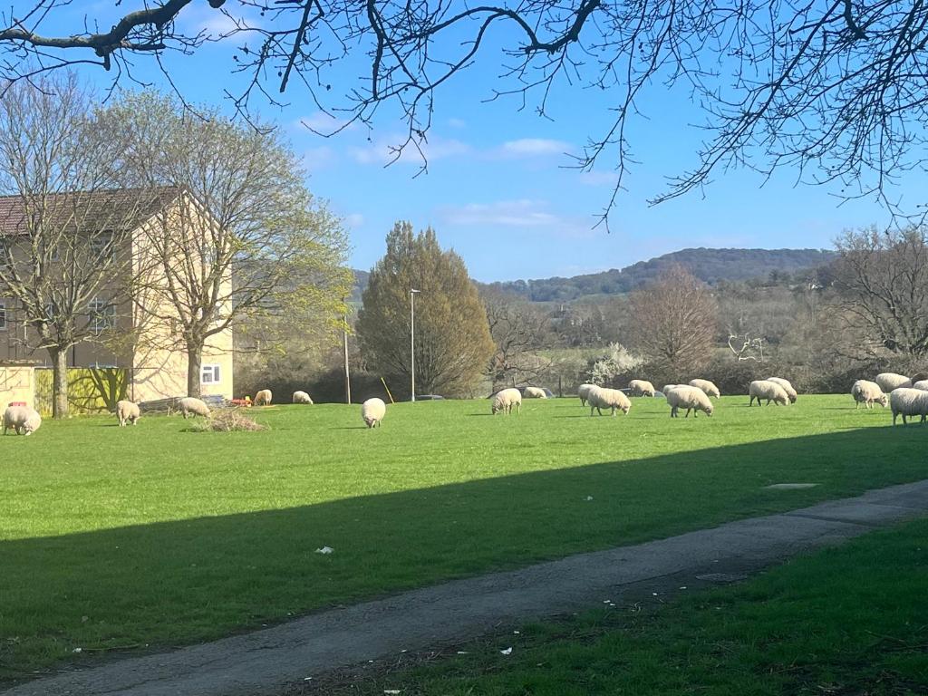 Floss Cottage, Matson