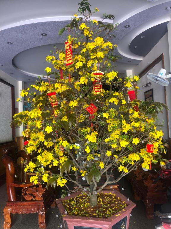 Hotel Ho Lak photo