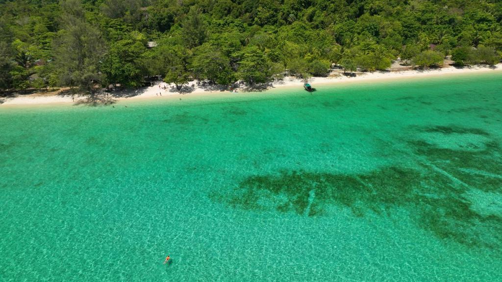 plaža