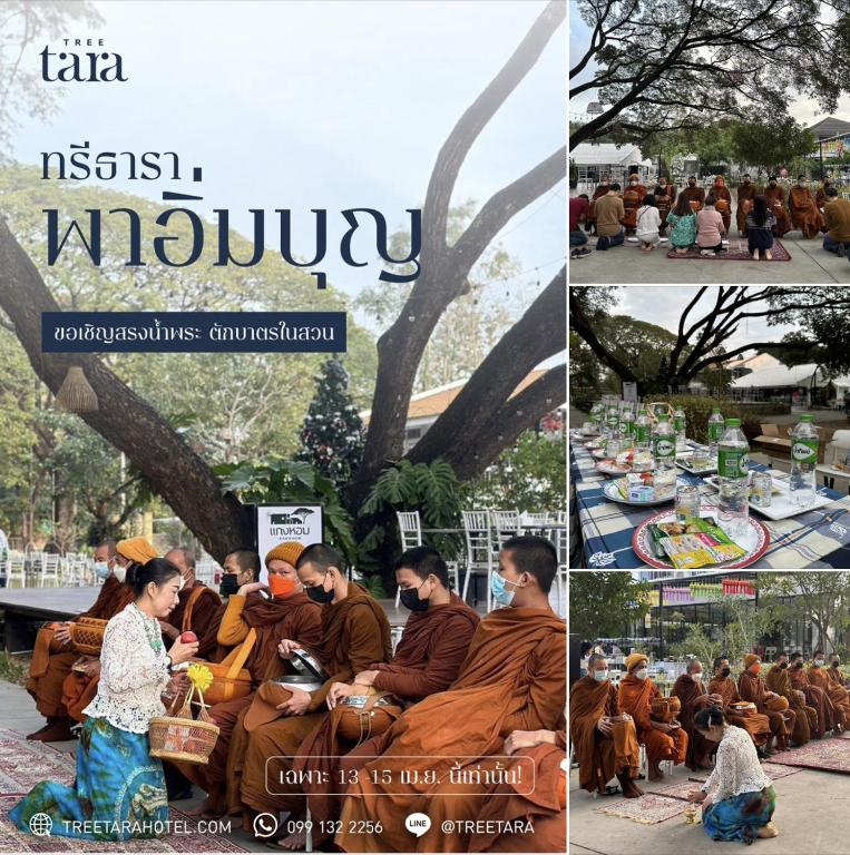 Hoạt động