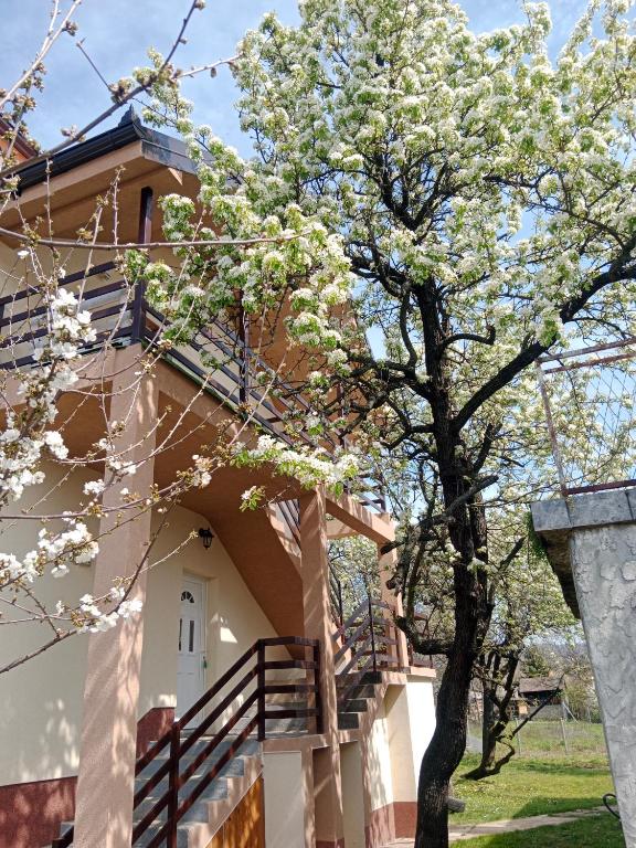 Apartmani Ostojic — Hotel in Vrdnik