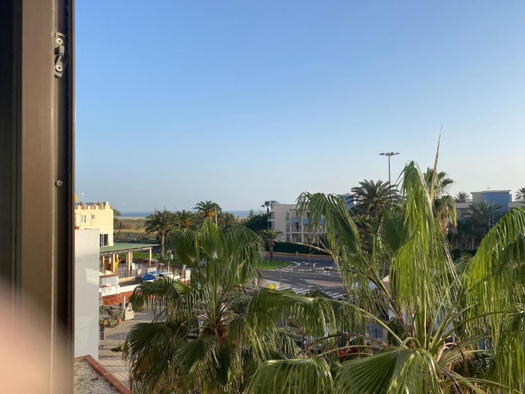 Jandia Beach Apartment - 4
