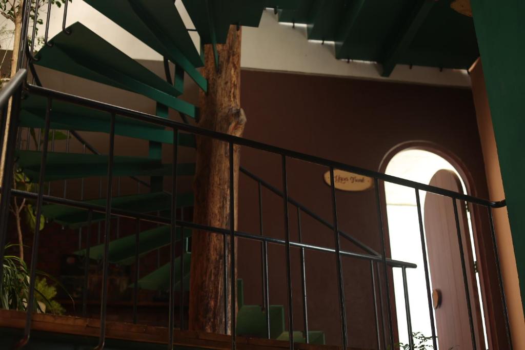 Cherry Suites Dalat photo