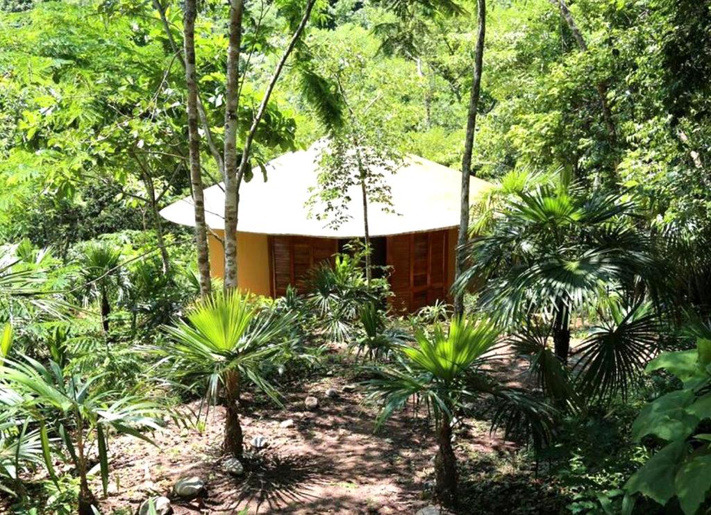 Reserva Ecologica Vive Copalitilla photo