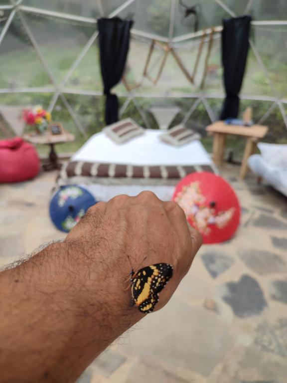 Colibamboo Domo Glamping - 5