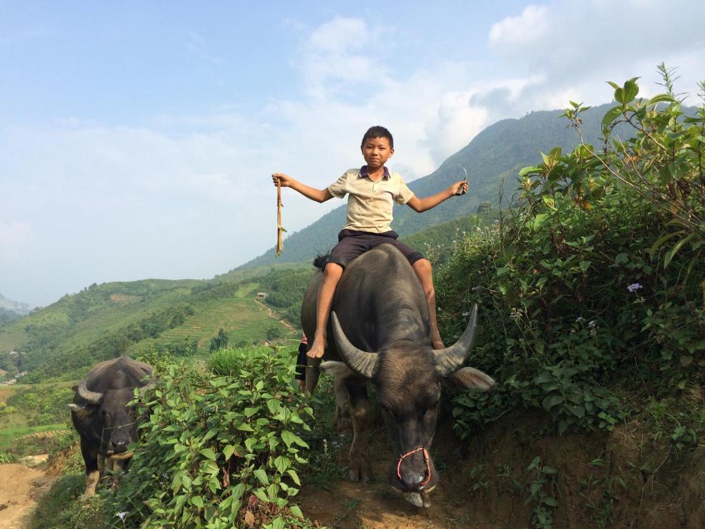 Surrounding environment