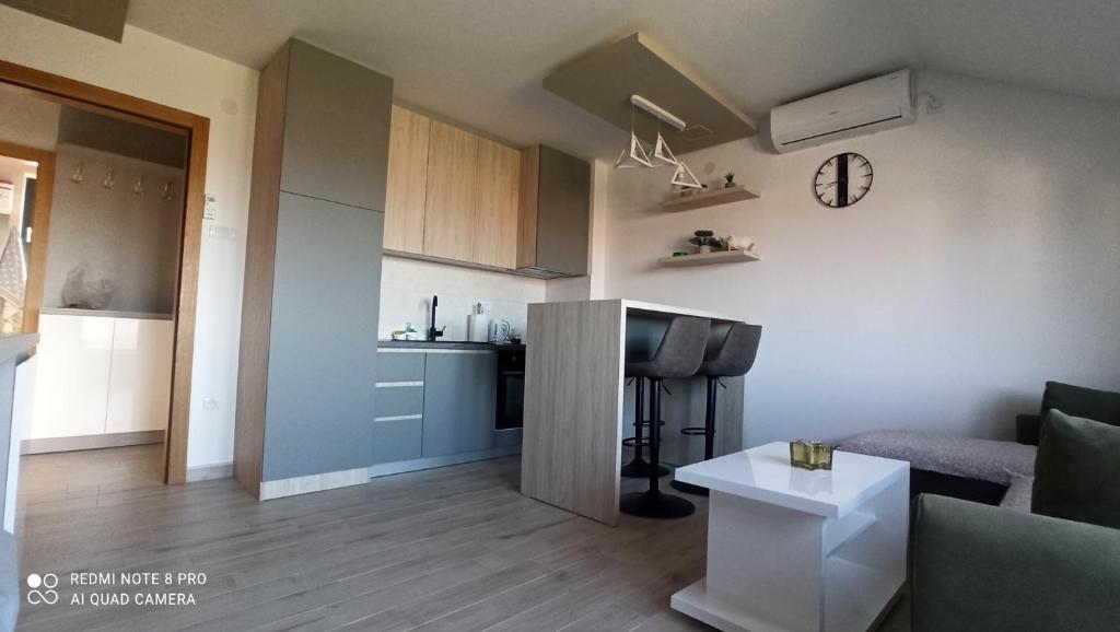 Jela Apartman, Soko Banja