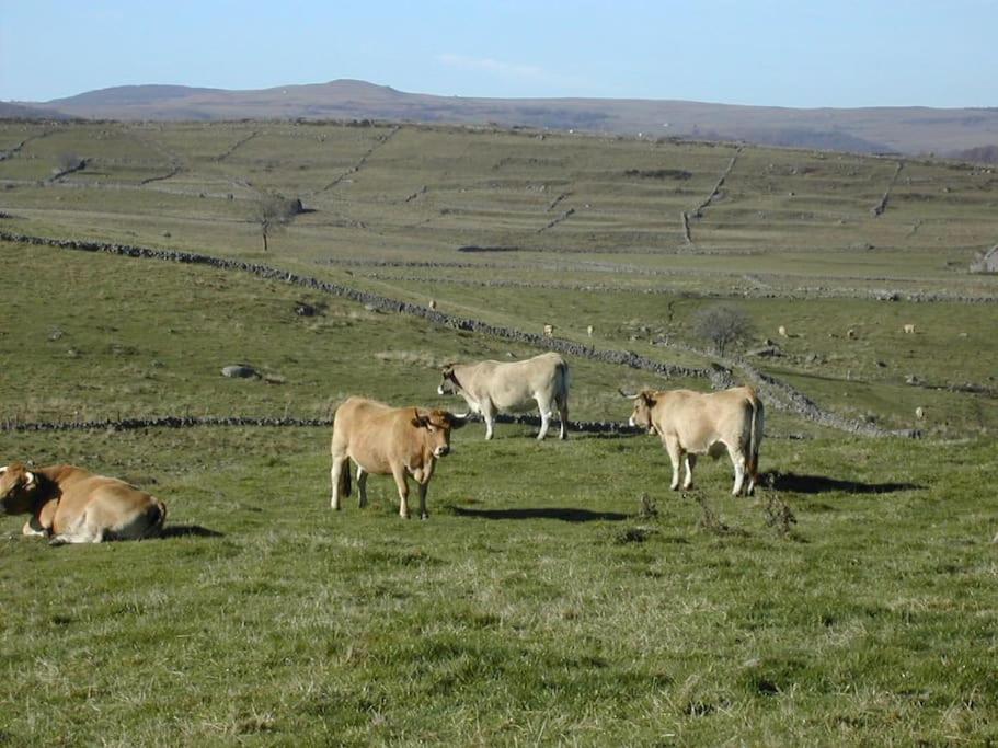 Plateau de l'Aubrac