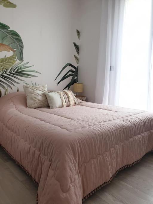 Anglet Biarritz Appartement avec piscine - 4