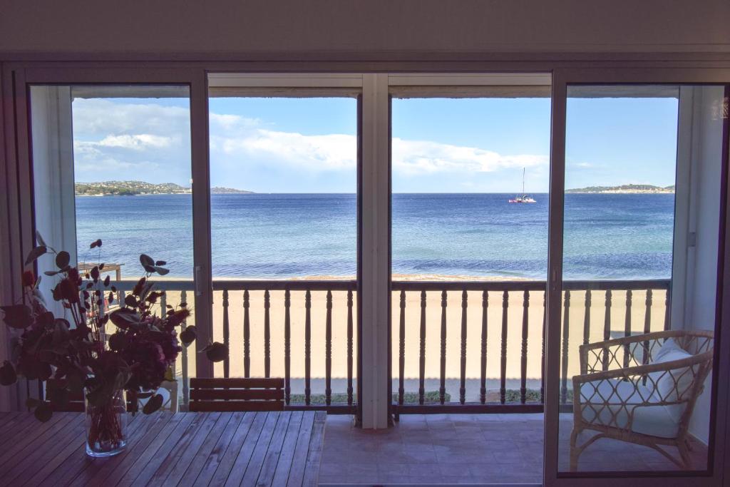 Pin laricio, Grimaud