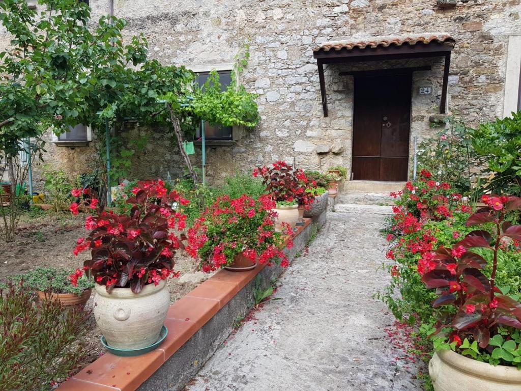Casa vacanze Le bouganville