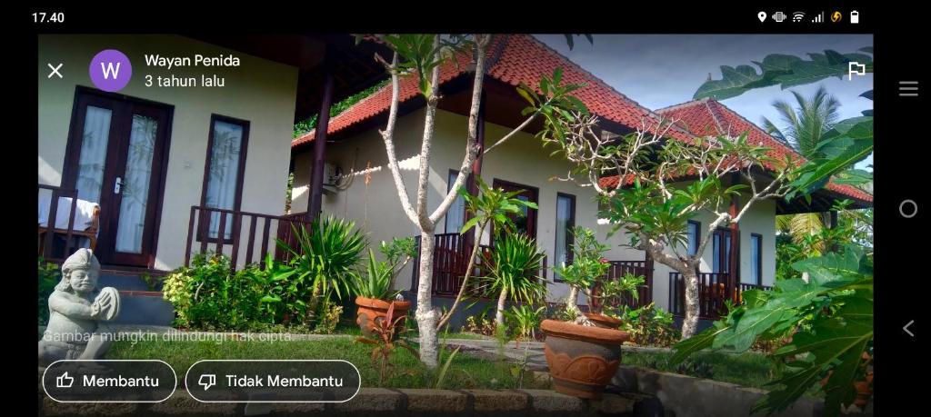 Mount Sea View Bungalow photo
