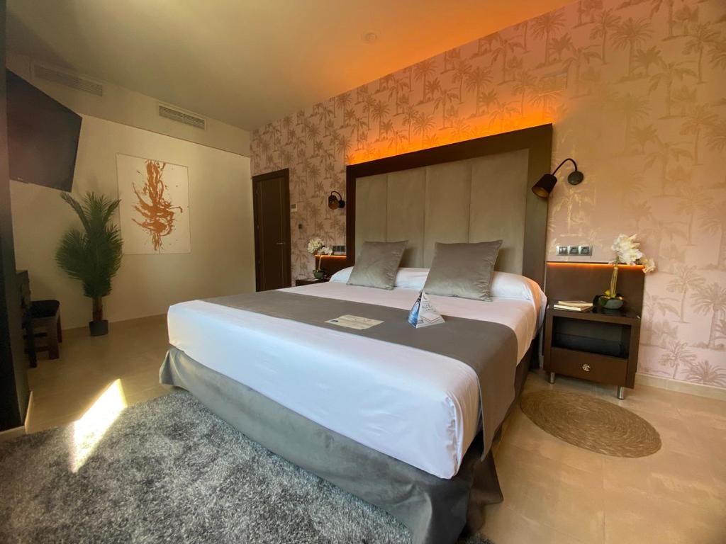 ON ALETA ROOM designed for adults — Almunecar, Andalusia