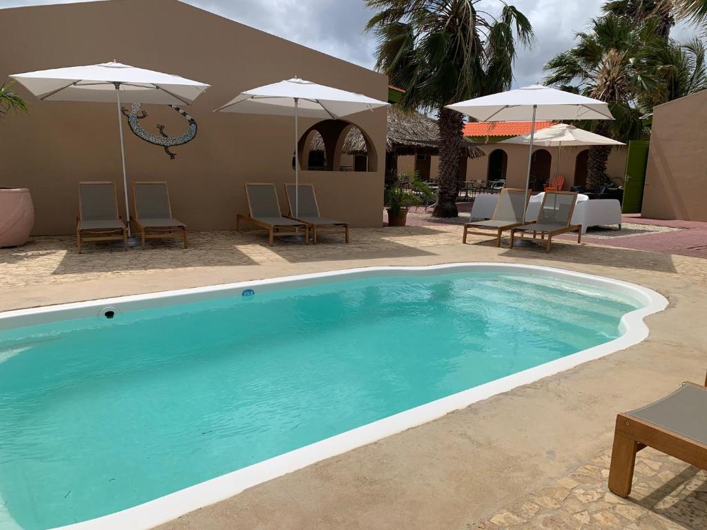 The Lizard Boutique Hotel — Hotel in Kralendijk