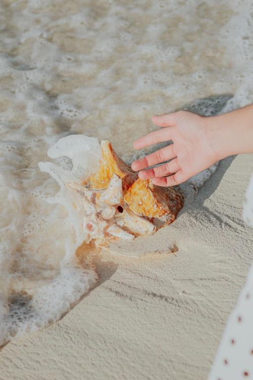 Ixchel Beach Hotel photo