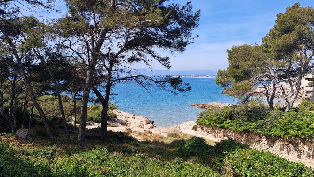 Colibri Apartment Beach - 2