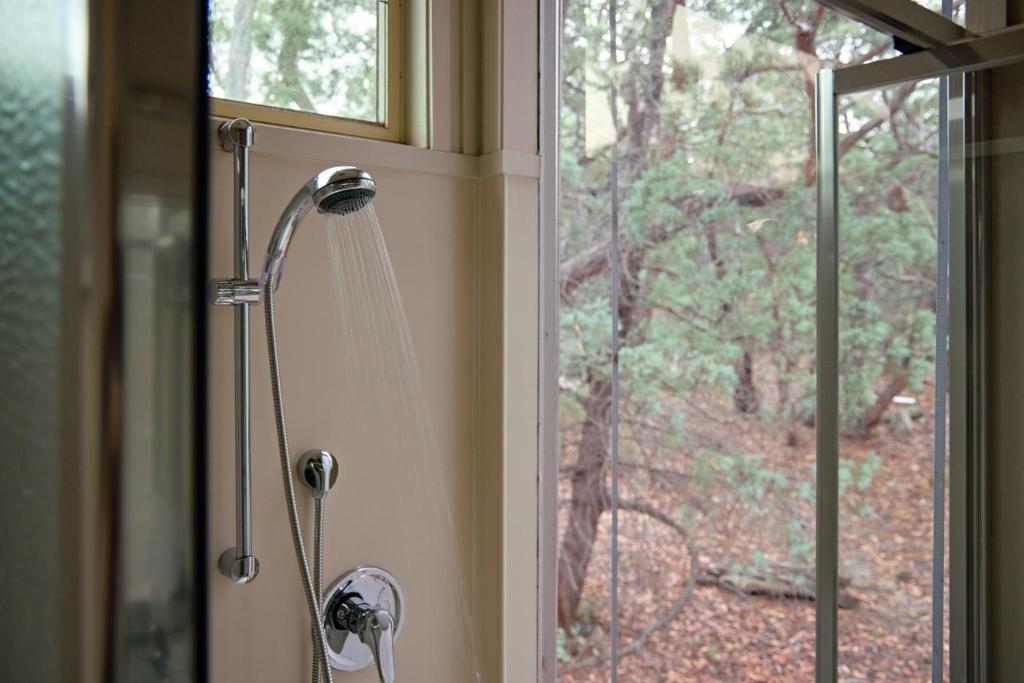 Aquila Eco Lodges photo