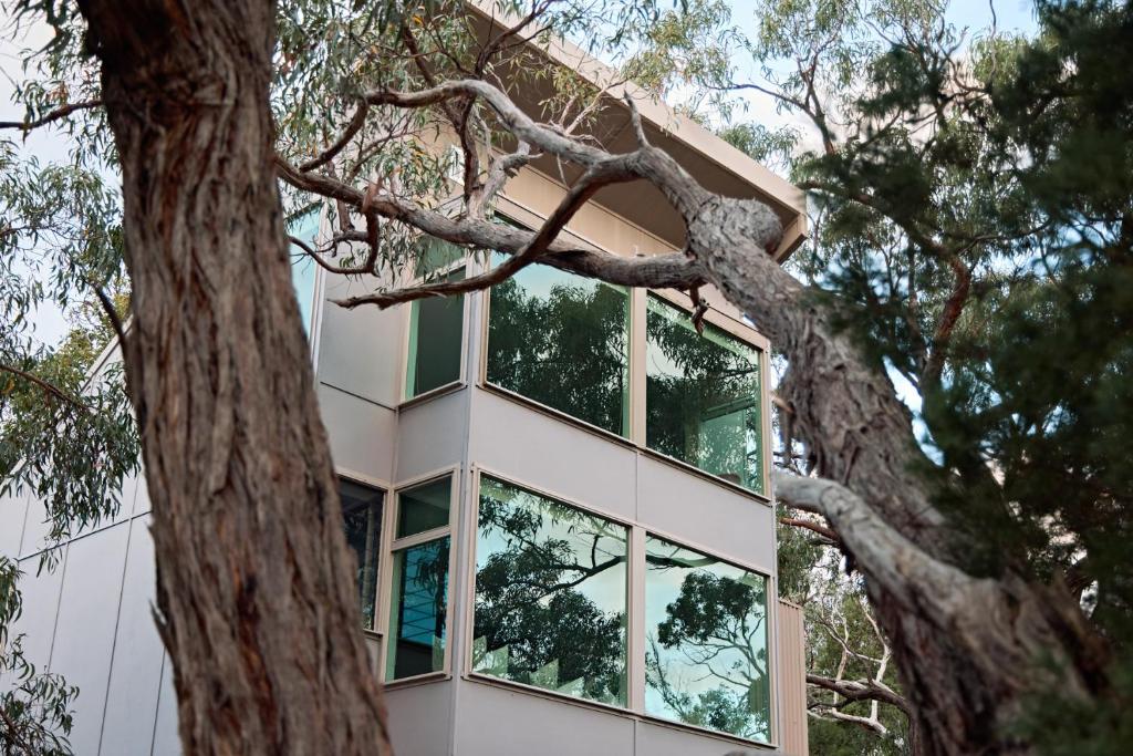 Aquila Eco Lodges photo